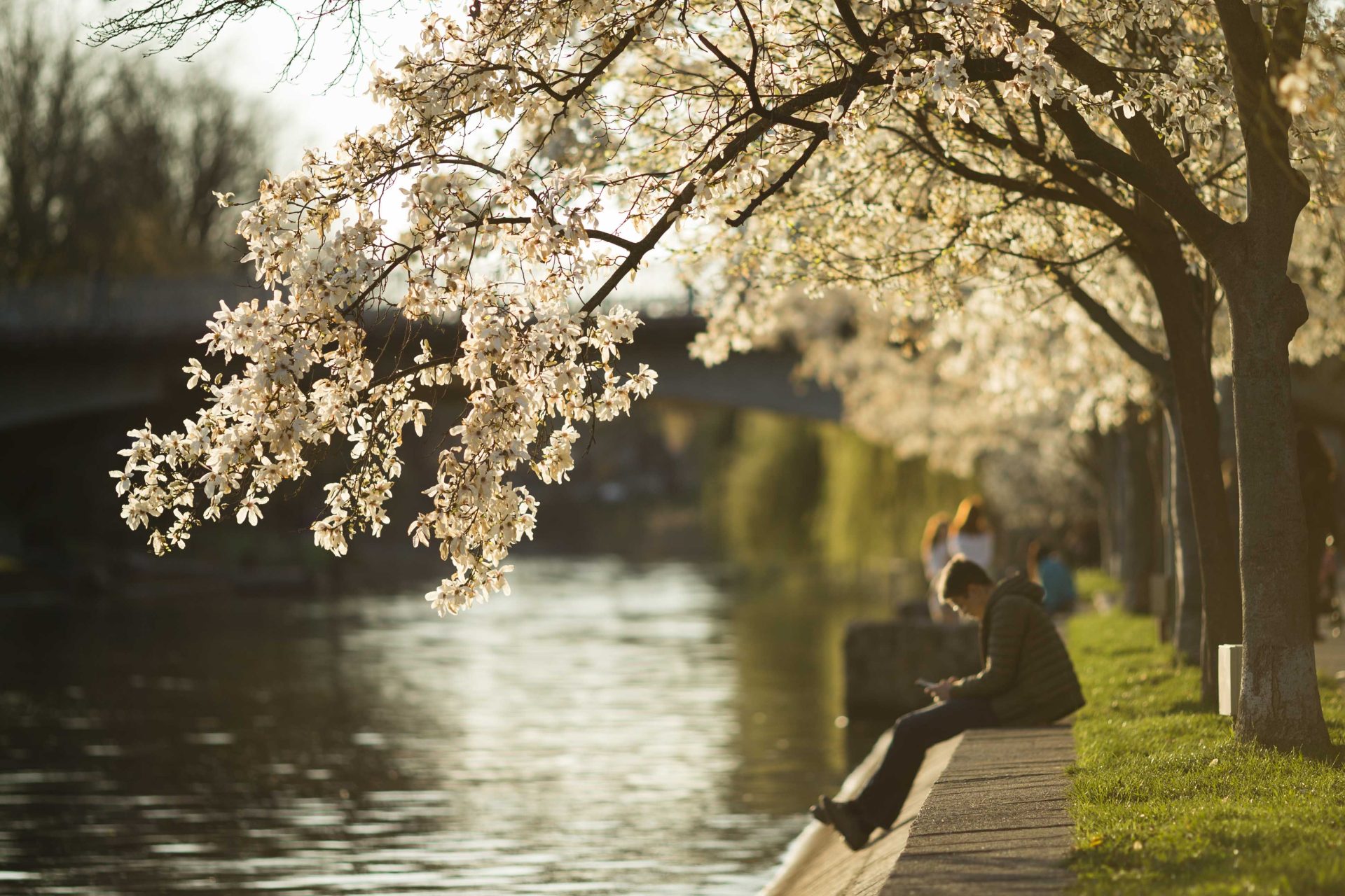 Vremea după Paște: Șefa ANM, anunț de ultimă oră despre ce ne așteaptă!