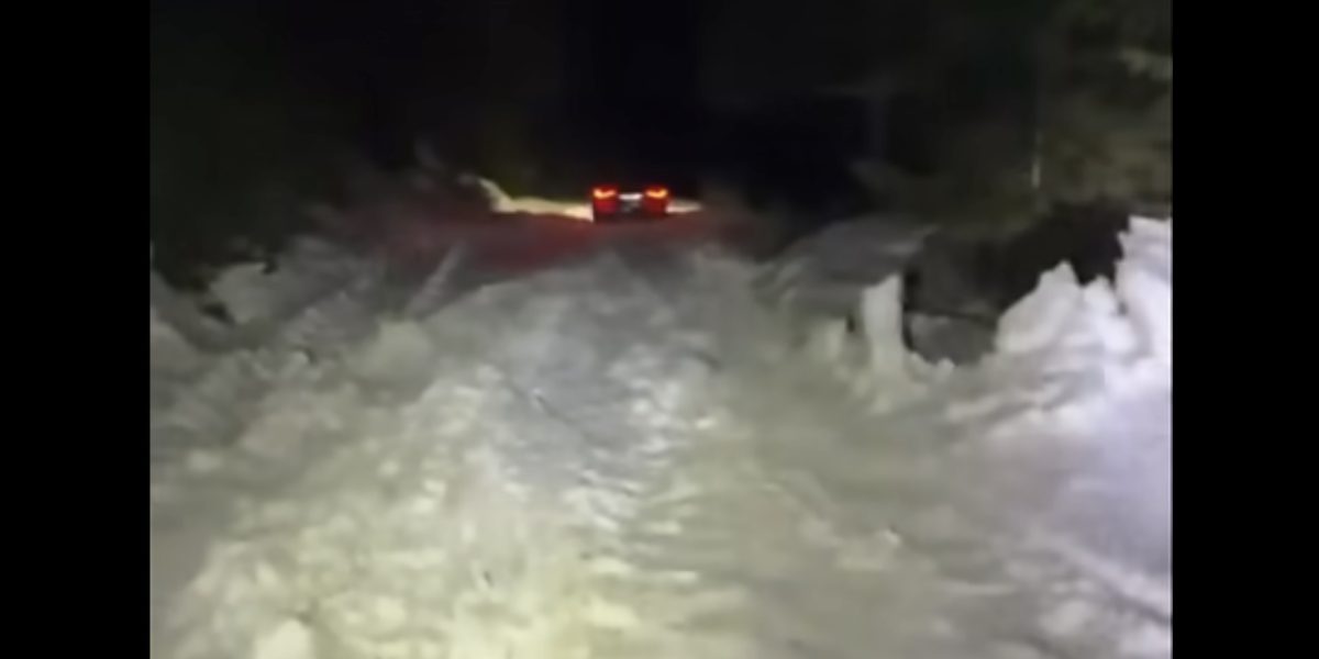 În noaptea de Înviere, tată și fiu, blocați de zăpadă în Cheile Oltețului