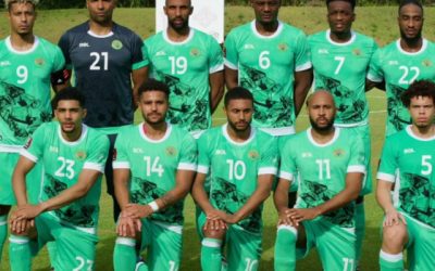 O echipă națională își caută selecționerul pe rețelele sociale