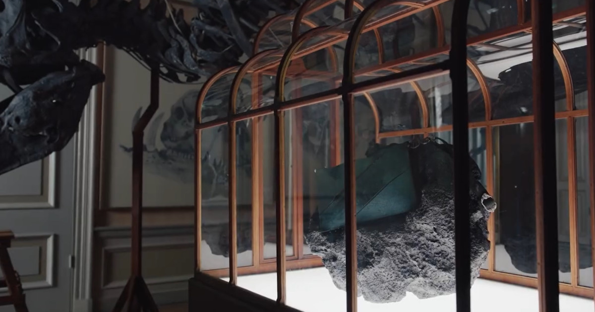 Oamenii de știință și designeri au prezentat joi o creație inedită: o geantă de mână realizată din colagen derivat din fosile de Tyrannosaurus rex, provenite din Statele Unite