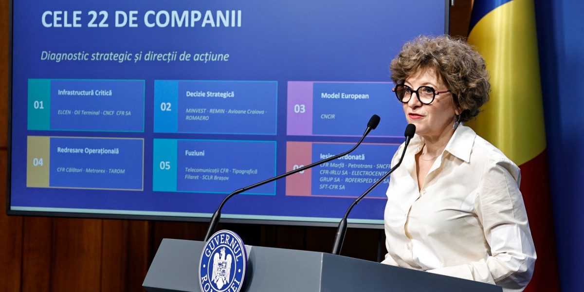 Oana Gheorghiu: Conductă furată, statul achită mii de euro anual
