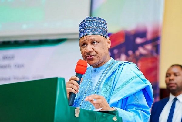 Nigeria rezistă: Guvernul anunță progrese importante