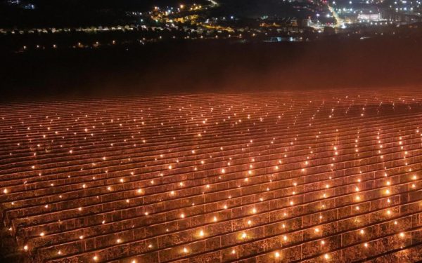 Costuri uriașe pentru salvarea pomilor: Fermierul a ars 40.000 de euro! De ce sunt scumpe cireșele?