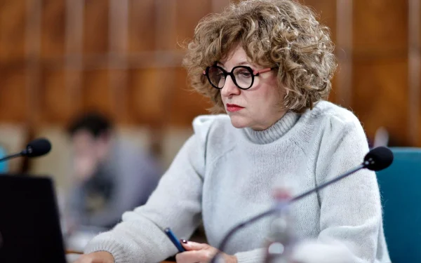 Oana Gheorghiu: Noi companii, anunțate în 30 de zile. Criterii clare de selecție