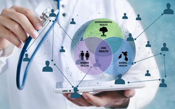 CieH și Ziarul Lumina fac echipă pentru educație medicală