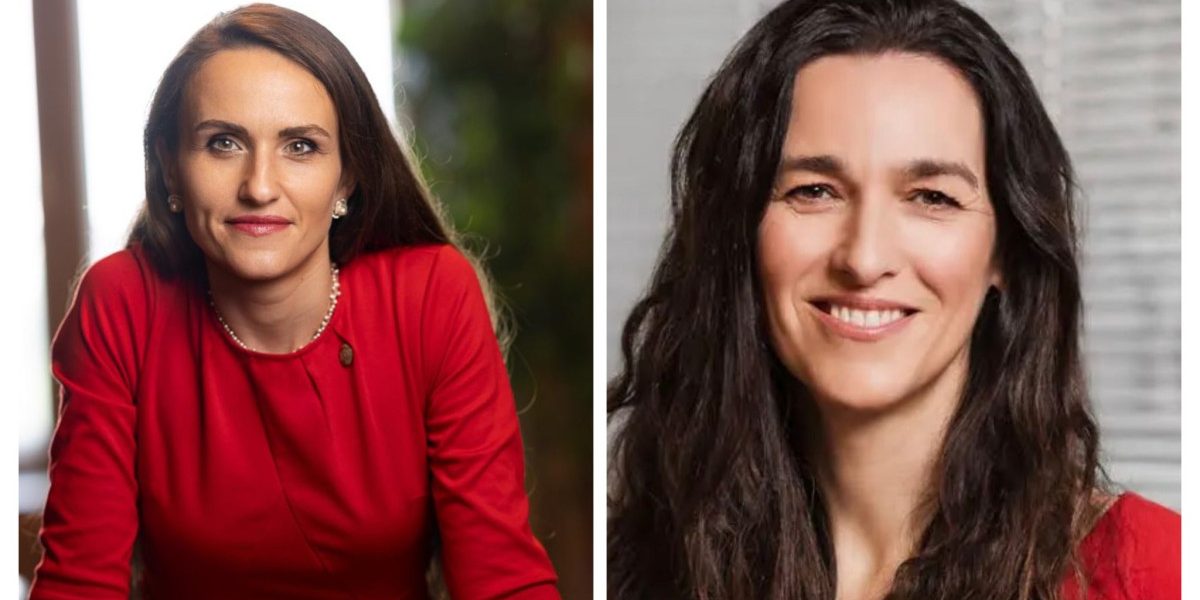 Oana Țoiu, dialog cu noul ministru de Externe de la Budapesta despre Ungaria