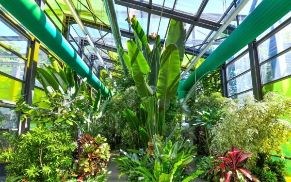 Serele exotice din Parcul Drumul Taberei își modifică programul de vizitare pentru perioada sărbătorilor pascale