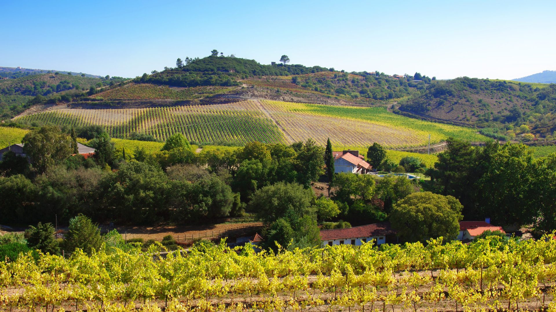 ONG-urile din România solicită intervenția Comisiei Europene în controversata lege privind exproprierile miniere Un număr de 60 de organizații neguvernamentale din România au transmis marți, 7 aprilie 2026, o scrisoare oficială către președintele Comisiei Europene, ULRIANA VON DER LEYEN, precum și către Viviane d’Udekem d’Acoz, Secretar General Adjunct al acesteia, în care solicită intervenția instituției europene în contextul adoptării recente a legii privind exproprierile pentru proiecte miniere