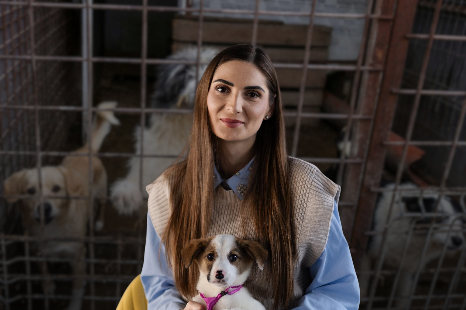 Scandalul abatoarelor de câini, precum cele din Suraia sau Uzunu, a adus în prim-plan un mecanism de gestionare a animalelor fără stăpân exact în raza autorităților locale, în contextul în care controlul și transparența lipsește