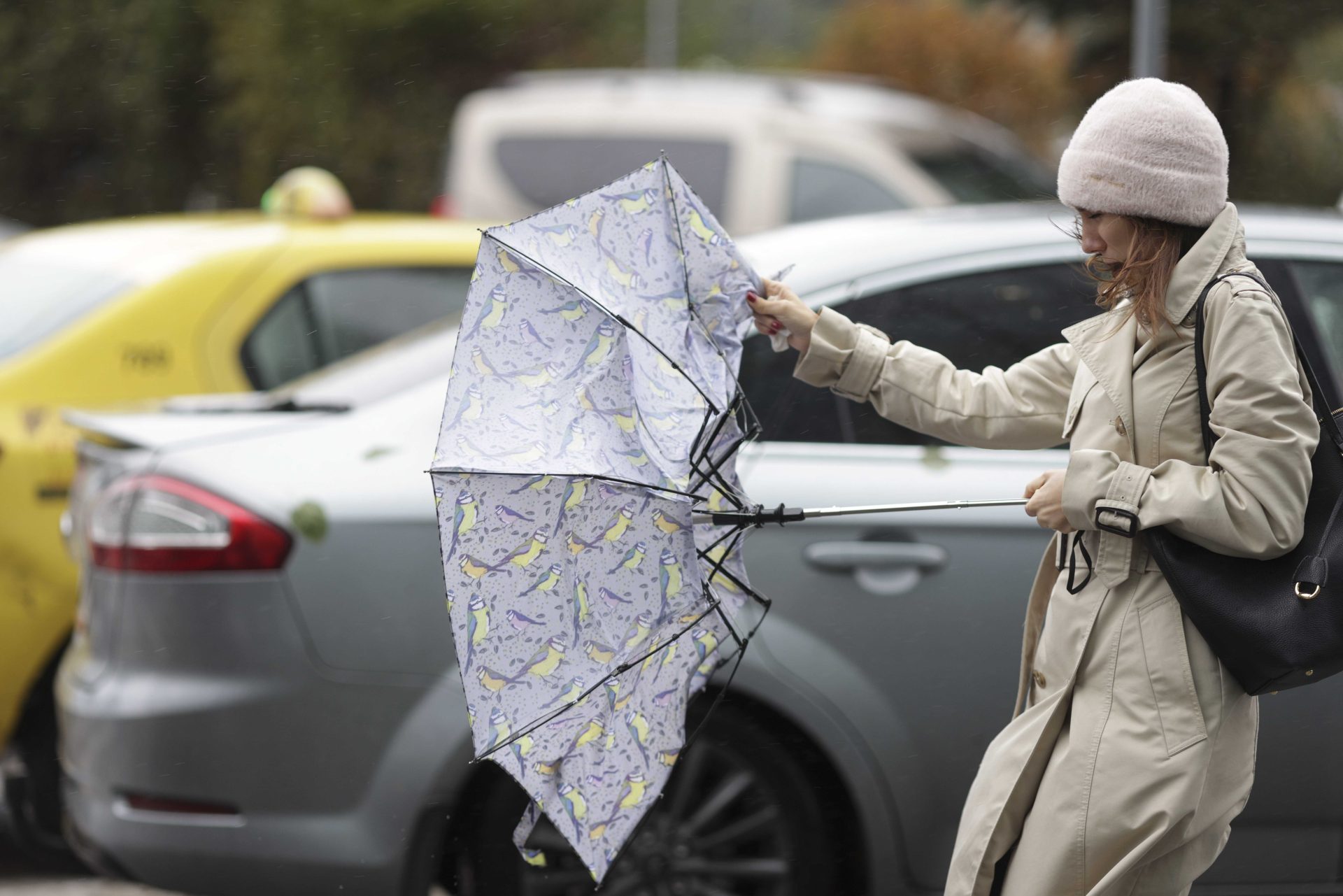 Alertă meteo pentru toată țara: ploi, vânt puternic, grindină și ninsori. Cum va fi vremea în București