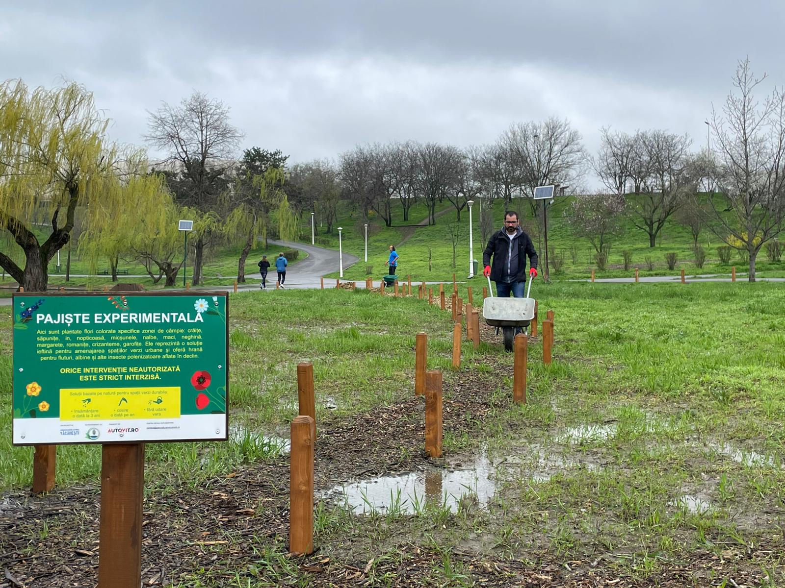 În parcul Tineretului din București au fost amenajate recent două pajiști urbane, zone verzi întreținute de voluntari și asociații, cu scopul de a compensa impactul urban asupra biodiversității și de a oferi un refugiu pentru flora și fauna locale