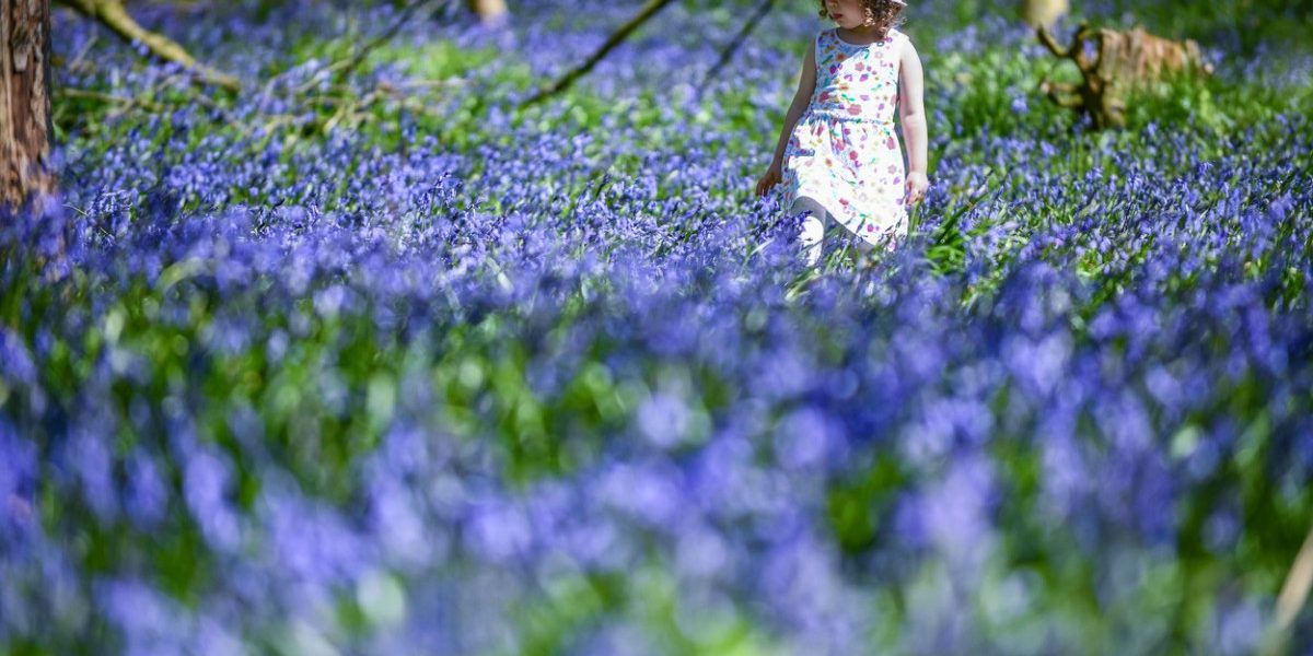 Când se încălzește România? Meteorologii anunță ziua și regiunea cu temperaturi record