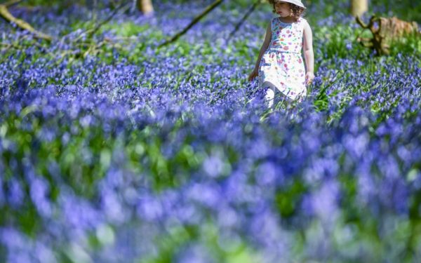 Când se încălzește România? Meteorologii anunță ziua și regiunea cu temperaturi record