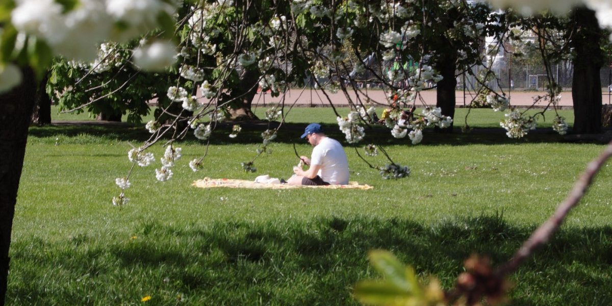 Meteorologii anunță: Cum va fi VREMEA de 1 Mai și în următoarele săptămâni