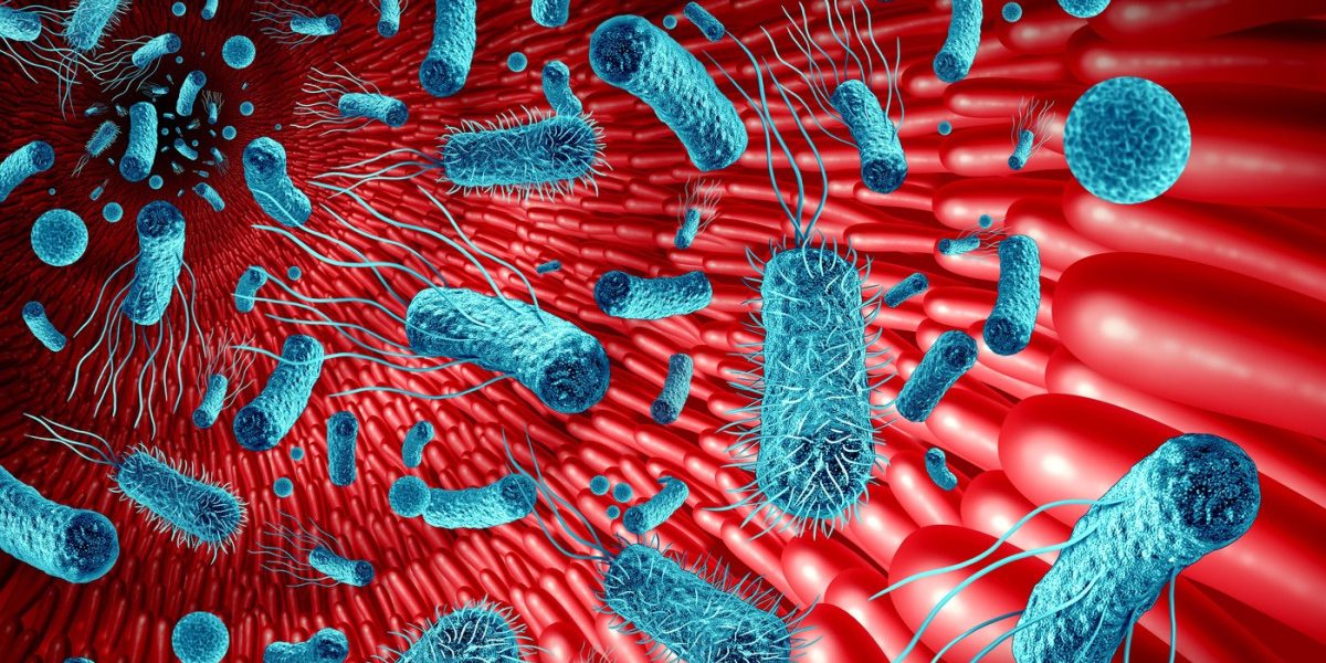 Intestinul, „al doilea creier”: Cum influențează microbiomul memoria și sănătatea