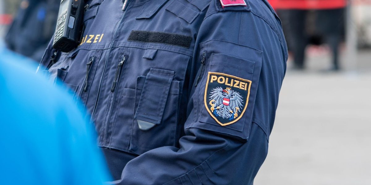 Viena: Poliția a reținut o bandă de escroci români. Lovitură dură