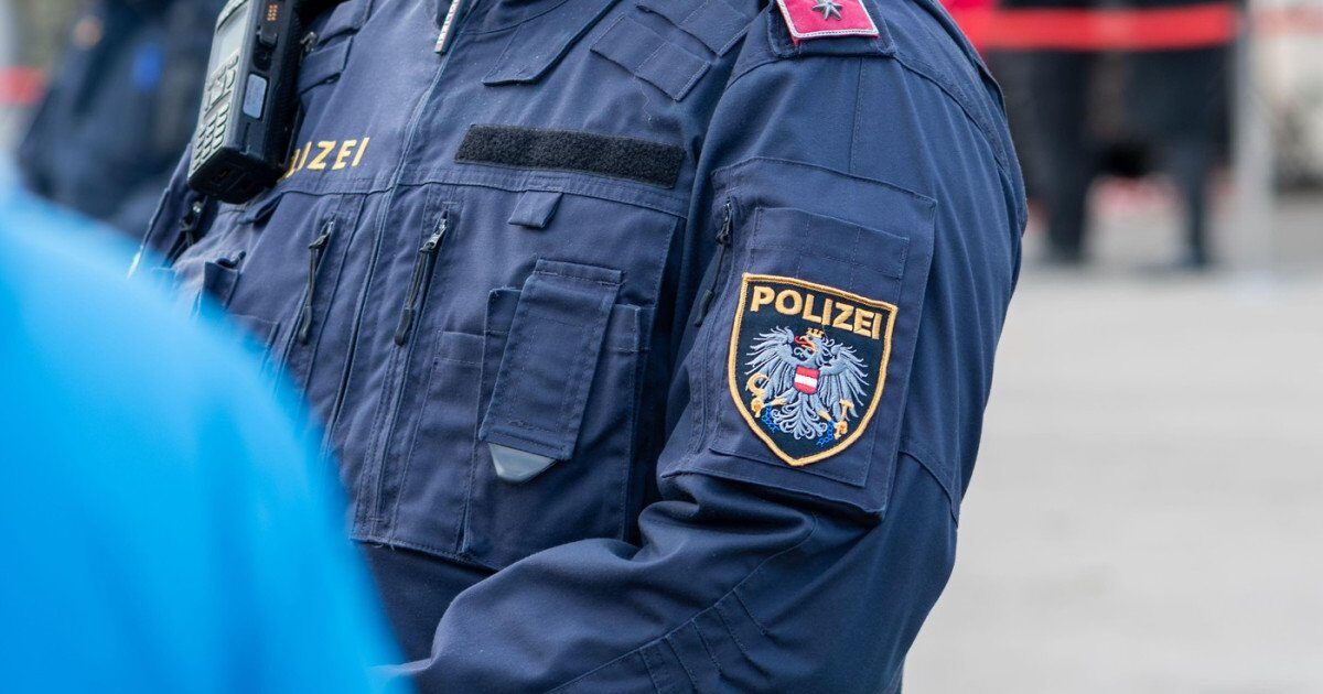 Viena: Poliția a reținut o bandă de escroci români. Lovitură dură