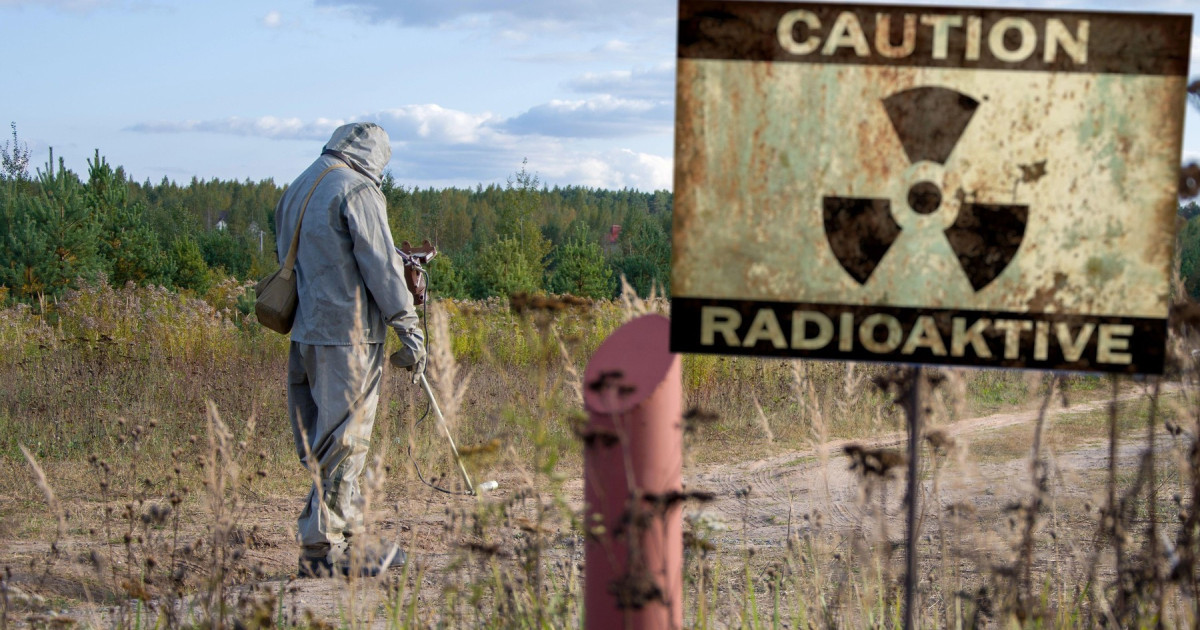 Ciupercă descoperită la Cernobîl pare să se dezvolte mai bine în zone radioactive O ciupercă recent identificată în zona de excludere a centralei nucleare de la Cernobîl a provocat interesul cercetătorilor din cauza comportamentului său neobișnuit