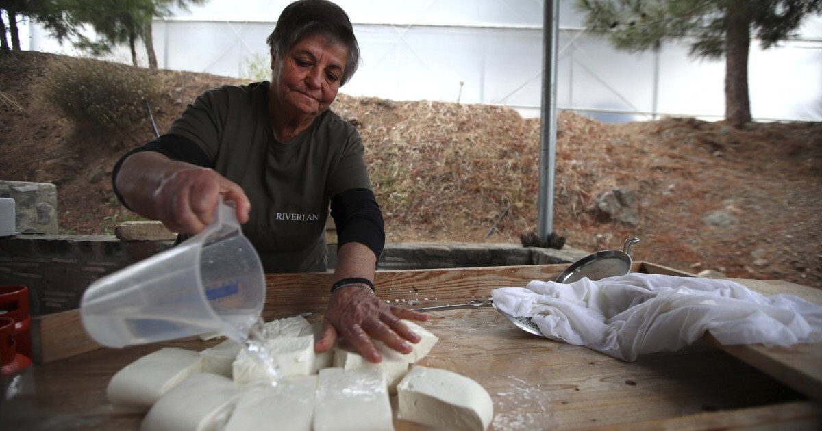 Halloumi în pericol: fermierii ciprioți se roagă de turci să salveze brânza