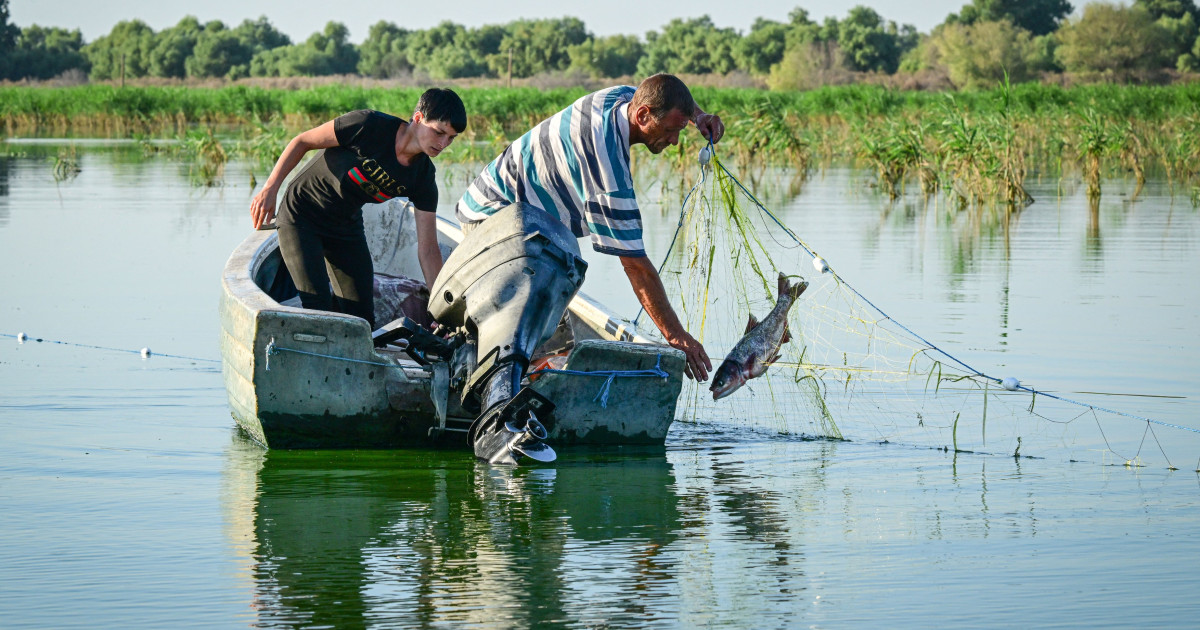 Pescarii tulceni au majorat prețurile pentru capturile livrate în contextul creșterii considerabile a costurilor cu carburanții, fenomen ce a emergent ca urmare a evoluției prețurilor la energie și combustibili pe piața internă și europeană
