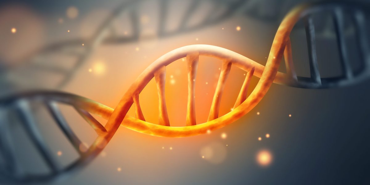 Unde S-ar Ascunde Secretele Codului Genetic: Indicii Misterioase