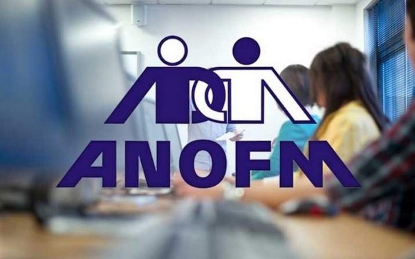 Guvernul, la „muncă” cu tinerii: ANOFM vizează 275.000 de inactivi