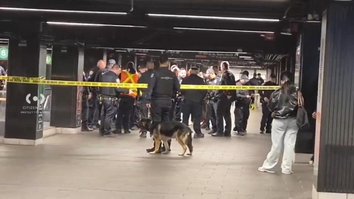 Atac cu maceta în NY: Trei răniți, suspectul neutralizat de polițiști