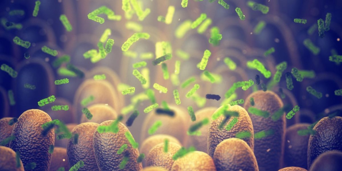 Bacterie-Ucigaș: Cercetătorii au creat arma secretă anti-cancer