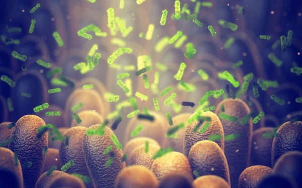 Bacterie-Ucigaș: Cercetătorii au creat arma secretă anti-cancer