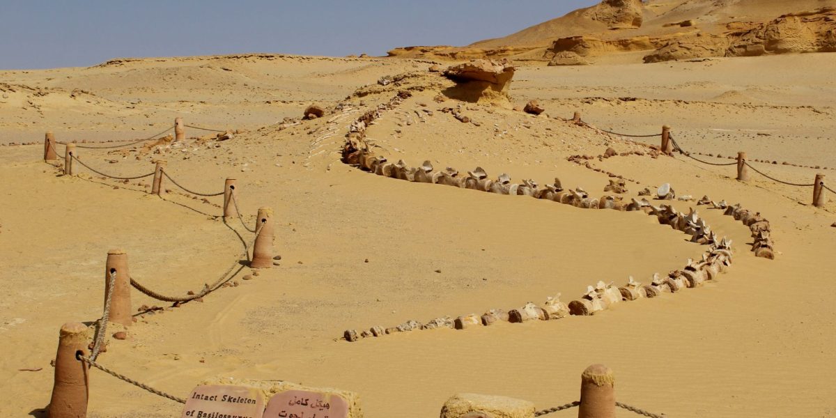 Un eveniment ANTIC a declanșat prăbușirea Vechiului Regat Egiptean