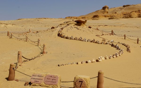 Un eveniment ANTIC a declanșat prăbușirea Vechiului Regat Egiptean