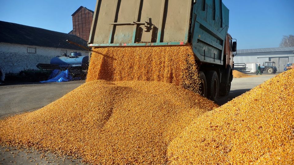 Afacerile Agropec Dionis, explozie în 2025: Cum au jonglat traderii cu recoltele-record