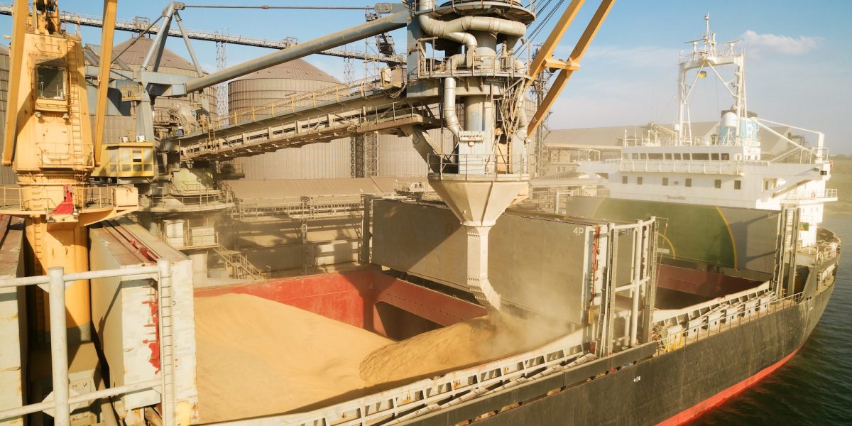 Cât au câștigat fermierii din România din exportul de cereale anul trecut?