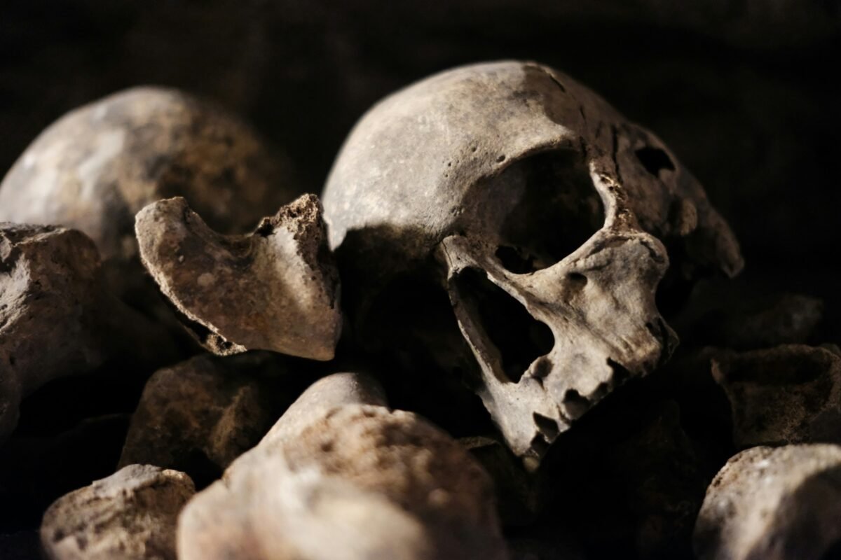 Catacombele din PARIS au fost redeschise pentru public, după o perioadă de aproximativ șase luni de închidere, timp în care au fost efectuate lucrări de modernizare și îmbunătățire