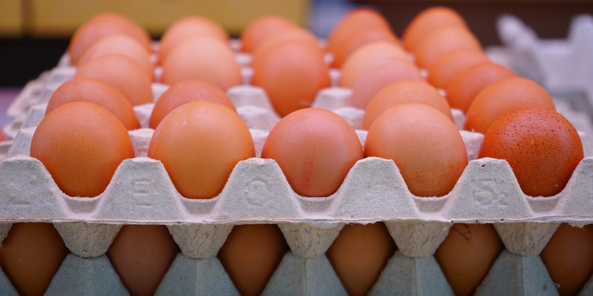 Ouă cu Salmonella: 1,5 milioane blocate! Alertă în magazine din România și Europa