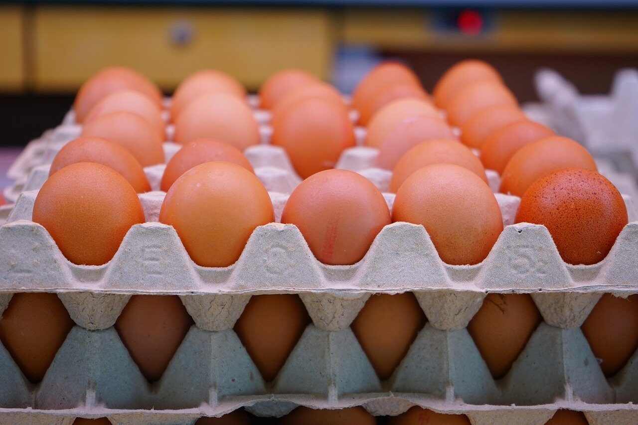 Ouă cu Salmonella: 1,5 milioane blocate! Alertă în magazine din România și Europa