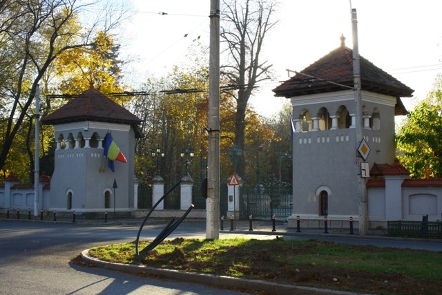 Nicuşor Dan, convocare-surpriză: Liderii partidelor, chemați la Cotroceni