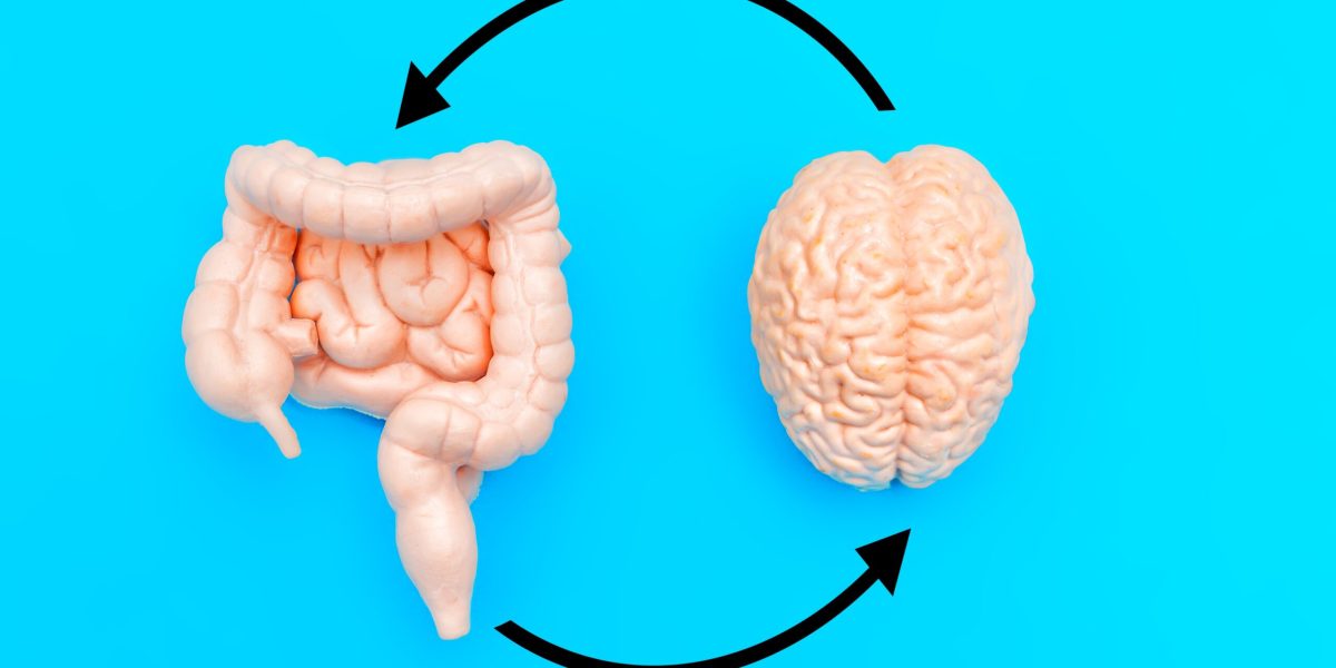Mâncarea din copilărie îți schimbă creierul pe viață, arată un studiu