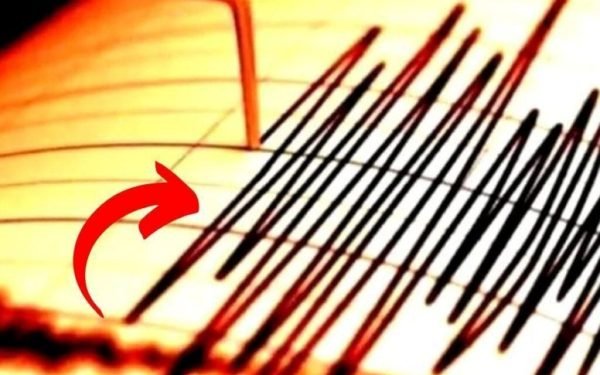 Cutremur în România: Unde a fost resimțit seismul