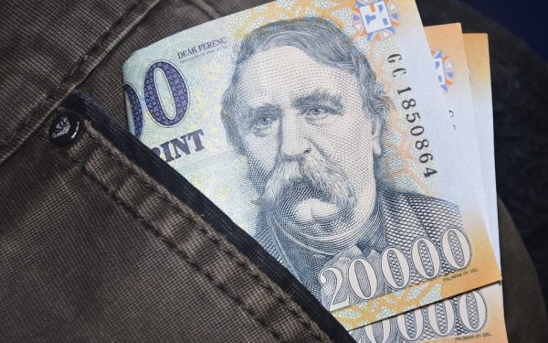 Forintul Ungariei, la maxim istoric după înfrângerea lui Viktor Orban