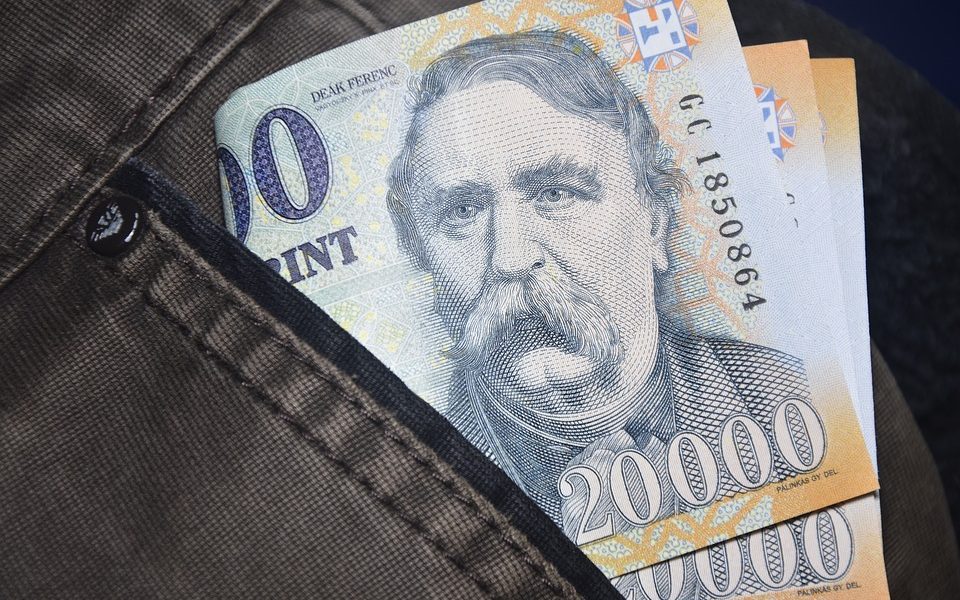 Forintul Ungariei, la maxim istoric după înfrângerea lui Viktor Orban