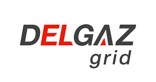 Delgaz Grid pompează 241 milioane de euro în rețelele de gaze și curent până în 2025