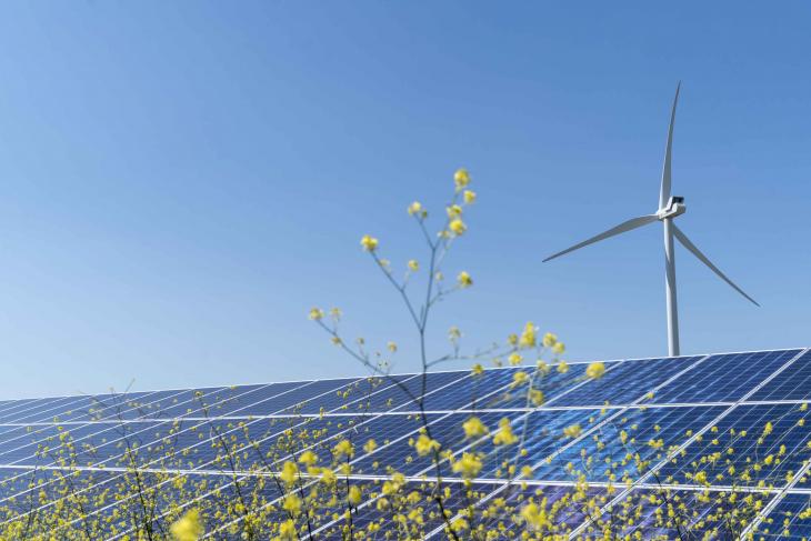 Prețurile energiei din Polonia devin negative pentru clienții casnici cu instalații regenerabile Prețurile pentru energia electrică în Polonia au coborât sub zero pentru o perioadă semnificativă de timp, afectând în special consumatorii casnici care își acoperă necesarul prin instalații regenerabile