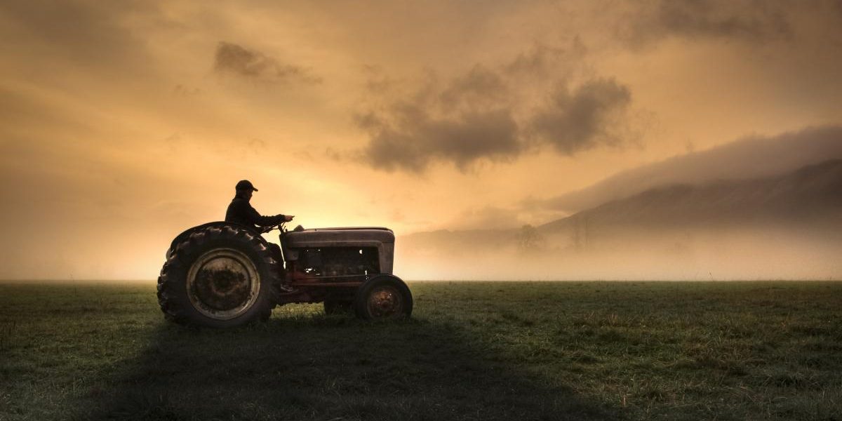 Fermierii, strigăt de alarmă: Guvern și UE, acționați! Criza bate la ușă