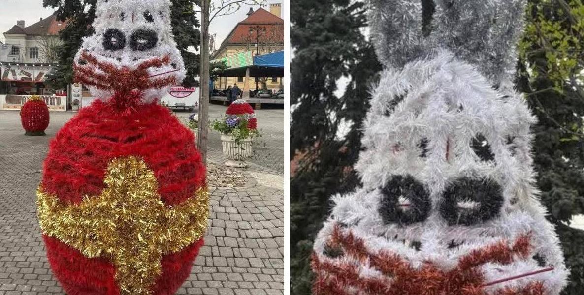 Iepurașii horror din Baia Mare revoltă locuitorii: „Te doare mintea”