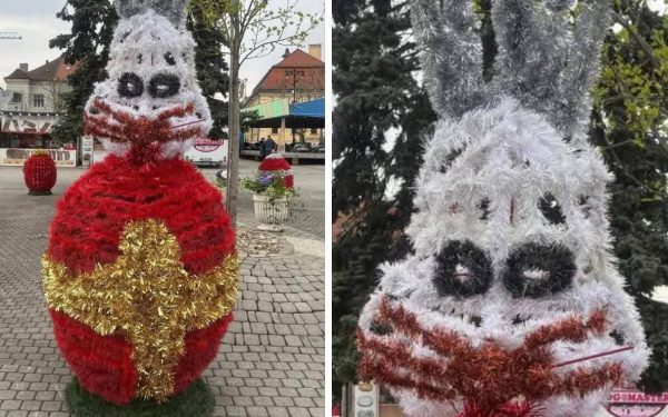 Iepurașii horror din Baia Mare revoltă locuitorii: „Te doare mintea”