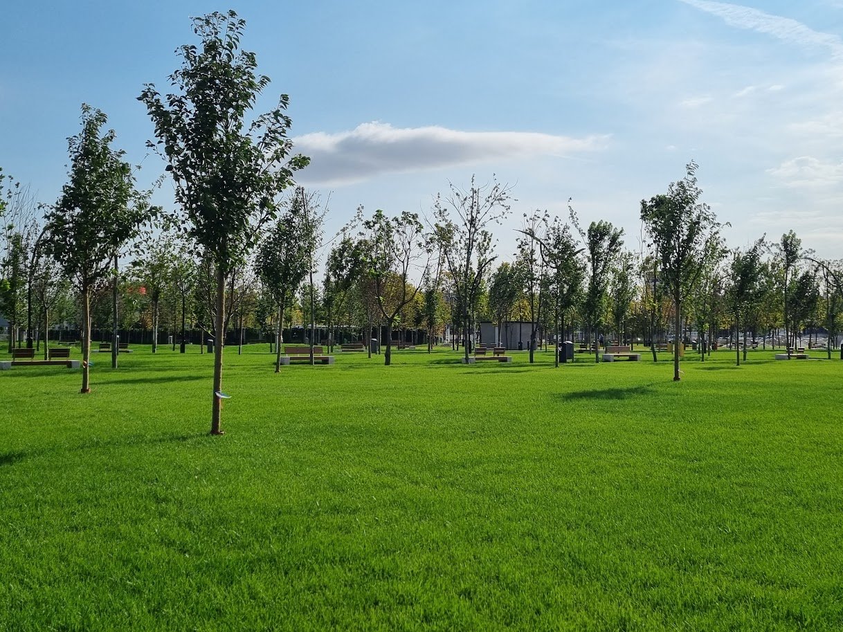 Primarul Sectorului 4, Daniel Băluță, a anunțat marți că noul parc amenajat lângă Parcul Tudor Arghezi va purta numele de „Donald J
