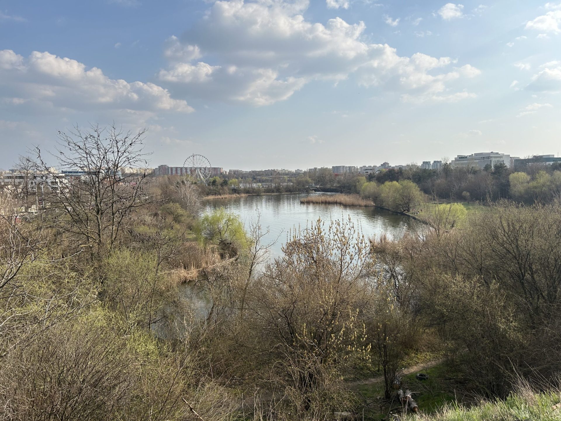 Pajiștea Petricani, un spațiu natural aflat în apropierea orașului, suferă din cauza intervențiilor umane și a neglijenței