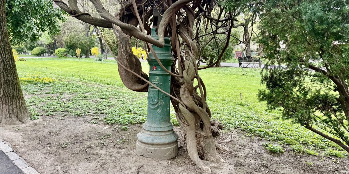 Cișmigiul, o lecție de istorie: ce povești ascund stâlpii măcinați de vreme?