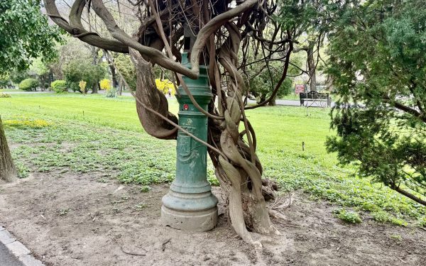 Cișmigiul, o lecție de istorie: ce povești ascund stâlpii măcinați de vreme?